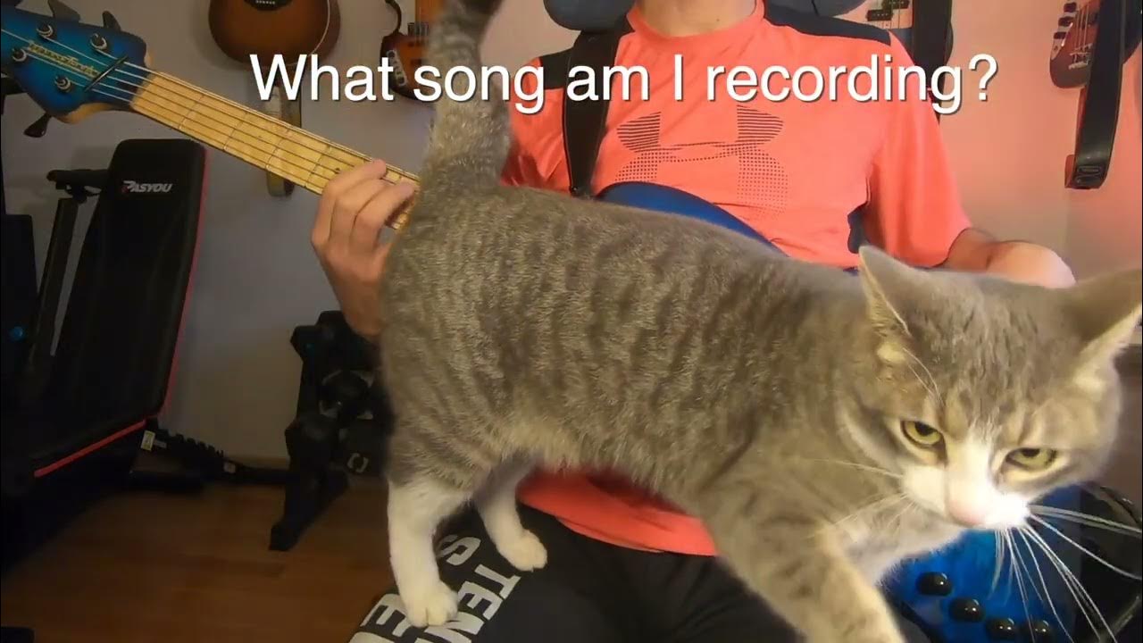 What song am I recording? YouTube