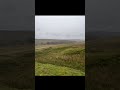 Hare rabbit 🐇 hunting adventure "ferreting of rabbits" #rabbit#hunting#adventure#animals#viral#