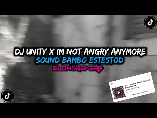 DJ UNITY X IM NOT ANGRY ANYMORE SOUND KANE SLOW&REVERB class=