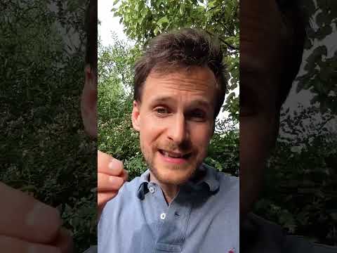 Vote du 30 juin : devons-nous désespérer ?