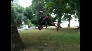 Three step wall flip