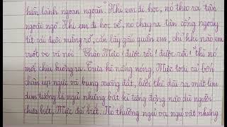 Tả con chó của nhà em (Tập làm văn lớp 4)