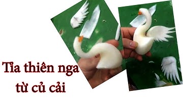 Tỉa thiên nga từ củ cải trắng /pruning swans from turnips/ Mai huyen carving/ Nguyễn Đức Lâm chia sẻ