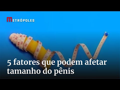O pênis pode