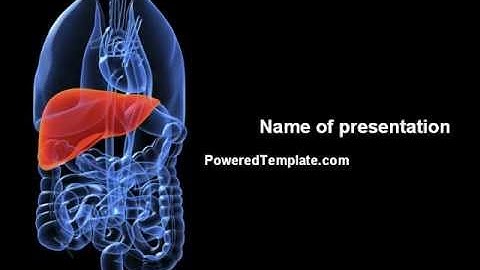 Liver PowerPoint Template by PoweredTemplate.com