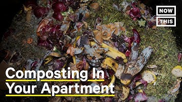 How to Compost in Your Apartment
