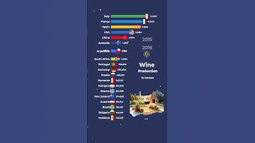 From Vine to Glass: The Top Wine Producing Countries!