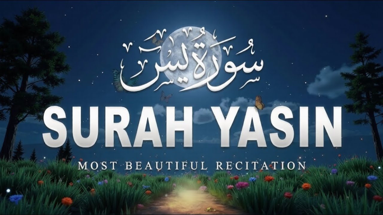 Surah Yaseen سورة يس | Soothing & Beautiful Recitation for Inner Peace by Alaa Aqel Quran for Sleep