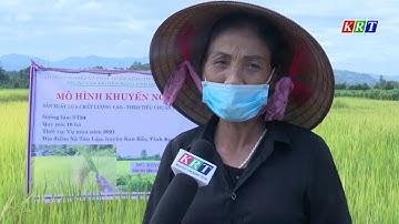 Xây dựng khu dân cư nông thôn mới kiểu mẫu