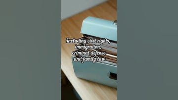 What are Pro Bono Cases