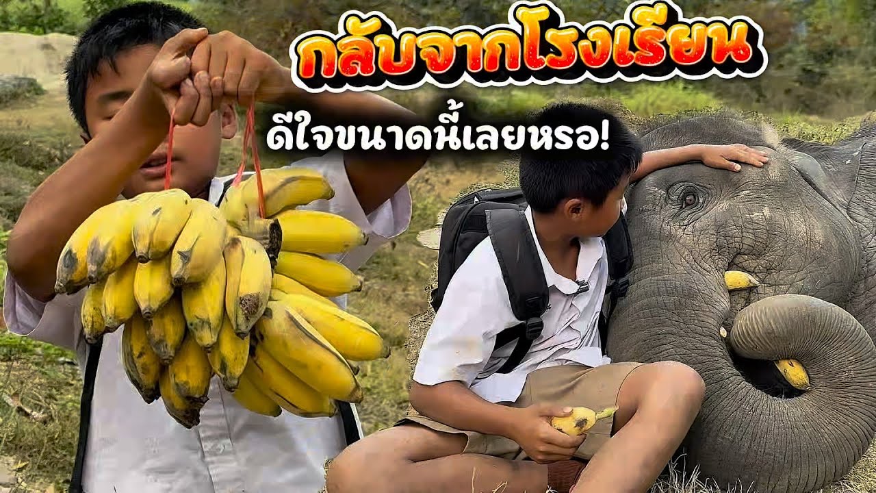 “รีแอคชั่นน้องจู เมื่อพี่บ๊อบกลับจากโรงเรียน”