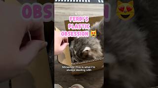Ferdi’s Plastic Obsession