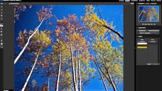 How to use the magic brush screenshot 5