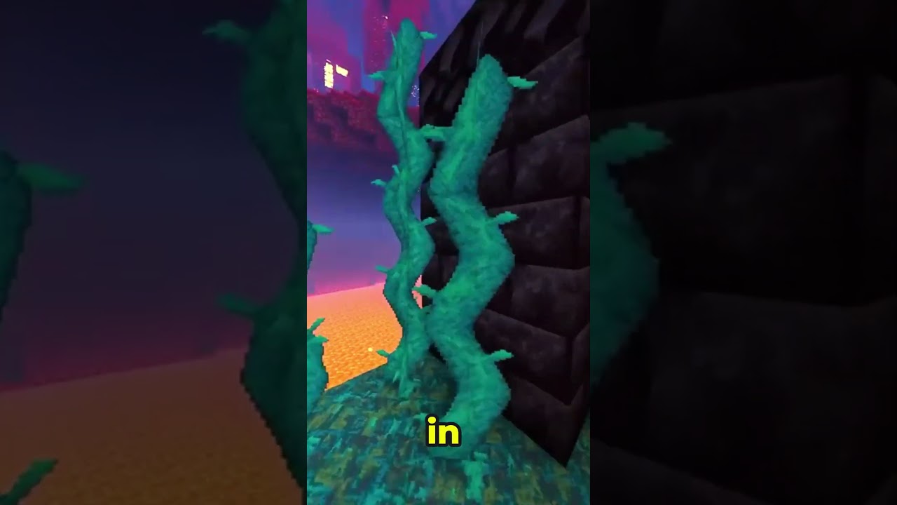 The confession tapes on Netflix