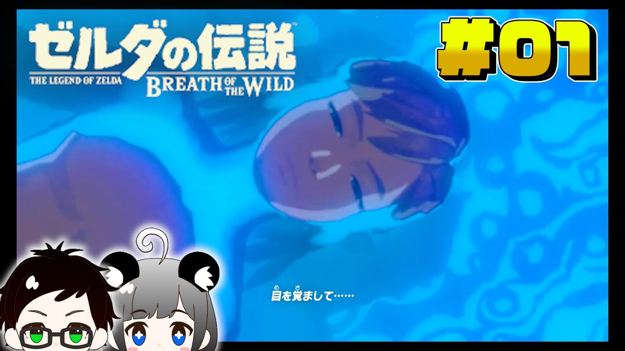 実寸大 パラセール ゼルダの伝説 ブレワイ 【ゼルダの伝説 ブレス オブ 