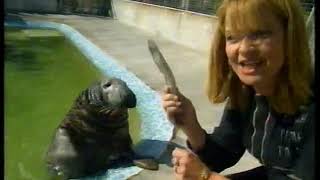 BBC Holiday Program (Jill Dando in Cape Town/Toyah in Cornwall) (24 Feb 1998)