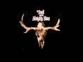 The Devil And The Almighty Blues - Tired Old Dog