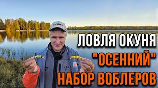 видео: Ловля окуня.  картинка: Ловля окуня.