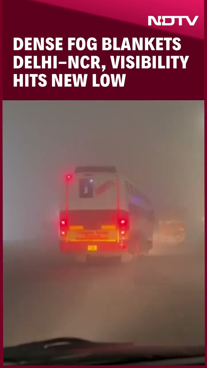 Delhi Fog | Dense Fog Engulfs Delhi-NCR Roads, Commuters Struggle to Navigate