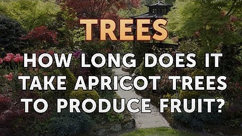 How Long Does It Take Apricot Trees to Produce Fruit?
