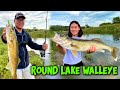 Slamming walleye and perch shore fishing on a new lake saskatchewan