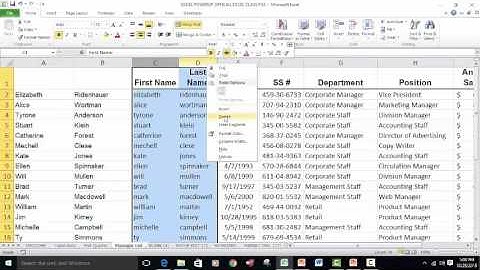 Excel Tips -- The PROPER Function