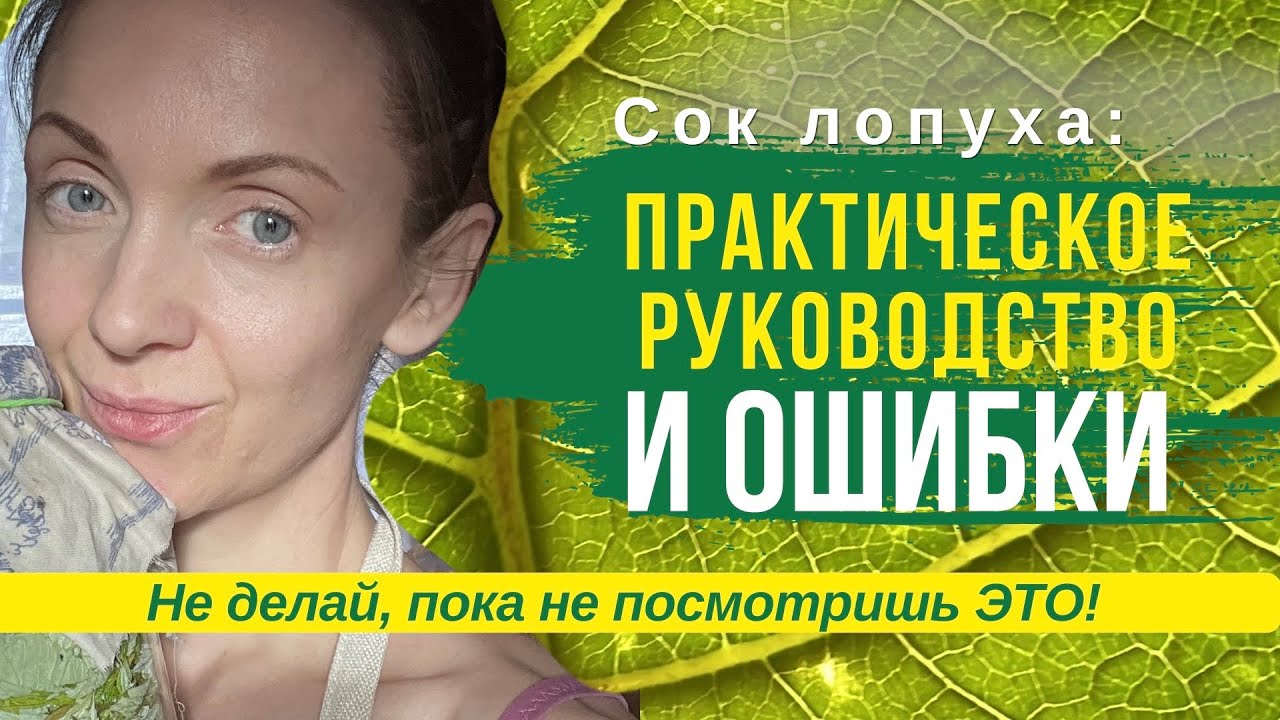 Сок лопуха: ошибки, о которых никто не предупреждает