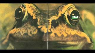 toad - toad (1971)