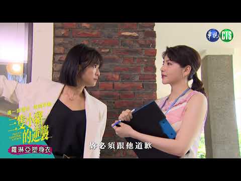 和朱董事長交易曝光? 曉彤怒吼粉紅衣女護晉舟｜三隻小豬的逆襲 EP45預告