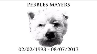 RIP PEBBLES MAYERS - SEXY PEB'S THE POLAR BEAR RAP WITH LYRICS - PAUL AND TOM