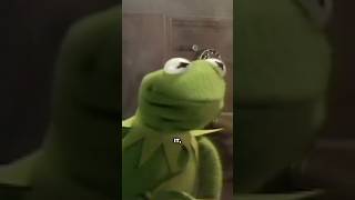 Steve Whitmire Q & A Panel Part 3! #stevewhitmire #muppets #kermit #jimhenson