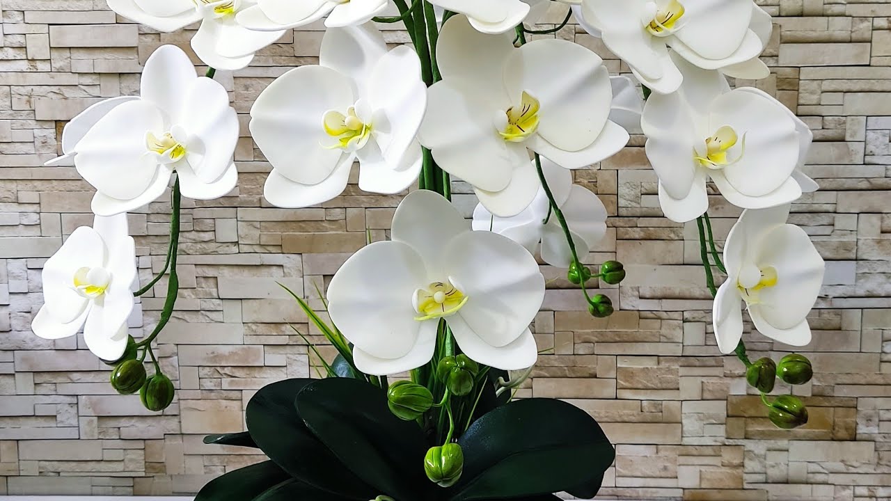 faça você mesmo um arranjo luxuoso de orquídeas