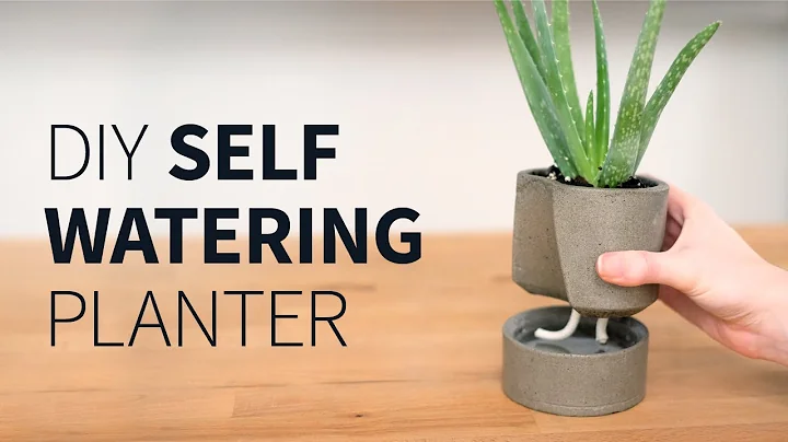 DIY self watering concrete planter | How to