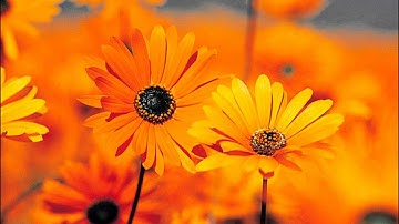 )Part 1(سورة الاعراف  مشارى راشد  Sorat Al A3raf-Mishary Rashed Alafasy