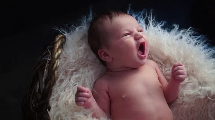 Legacy Newborns   Amy Oyler