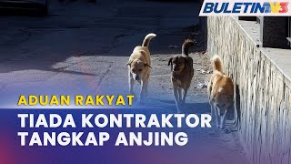 ADUAN RAKYAT | MBSJ Kerjasama Dengan NGO Tangani Isu Anjing Liar