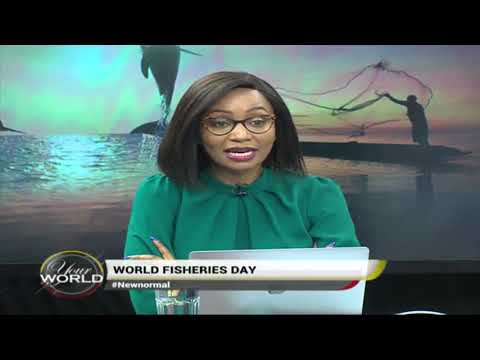 World Fisheries Day | Your World with Gladys Gachanja