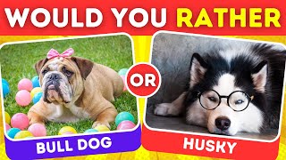 Choose A Dog | Would You Rather Quiz | Dog Choices | Pick One Kick One | Probe Quest |