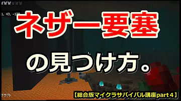 マイクラネザー マイクラネザー