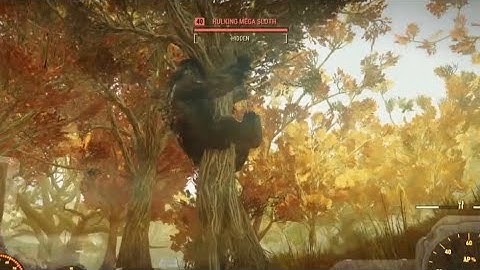 FO76 megasloth in it’s natural habitat