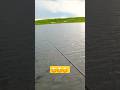 Absolutely beautiful day on water.  #fishing #fish #relaxing #trending #shorts