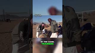 The Future of Camel Racing: From Jockeys to Robots 🐪🤖🏁