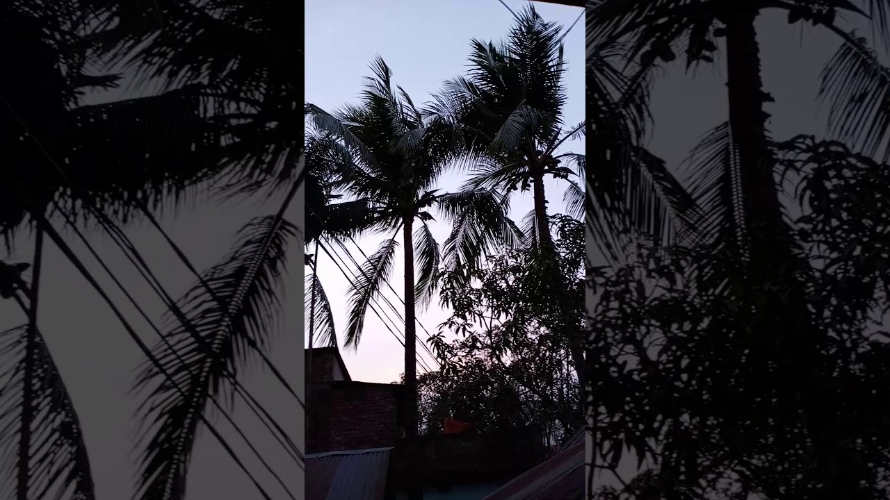 The weather You love. - YouTube