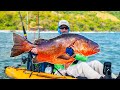 Offshore Kayak Fishing a Remote Panamanian Coastline {CATCH CLEAN COOK}