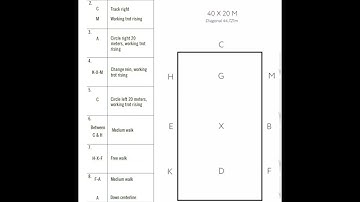 NEW USDF 2023 Intro Test A *read through*