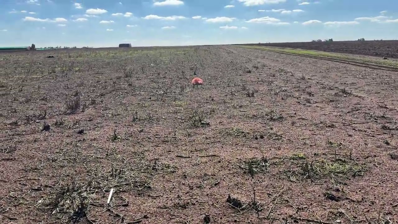 0661467850الارض محفظة اكثر من هكتار ونصف همزة جماعة طوالع ابن سليمان موقع ممتاز 