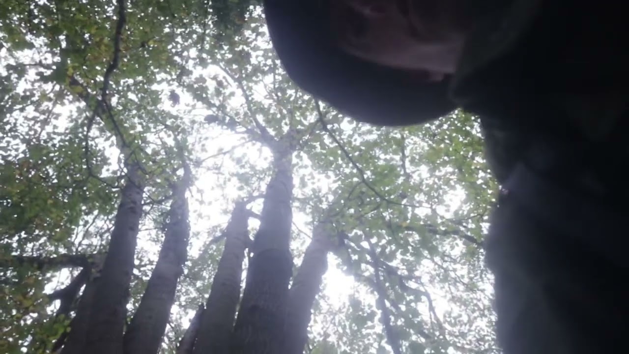 Patrixbourne to Canterbury on the Old Way pilgrimage