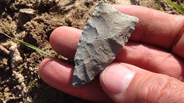 PALEO Find! ~ IS FOR SALE!  Feb 2016