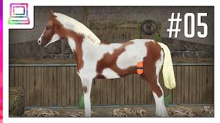 Mi escuela de equitación (Parte 5) (Juego de caballos) screenshot 4