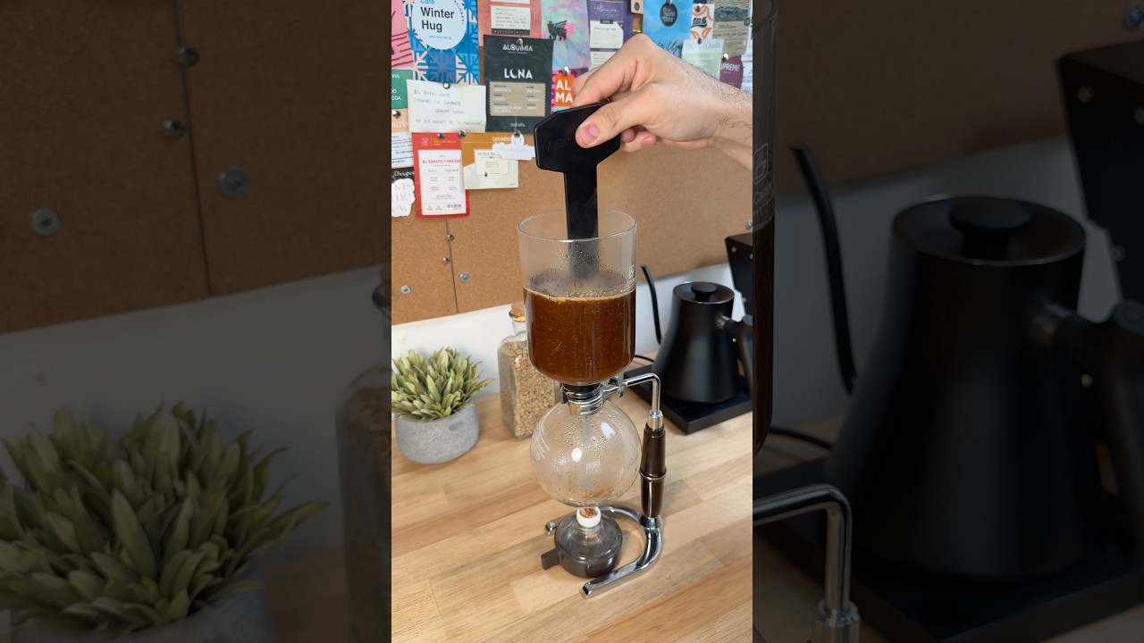 Te enseño a preparar café en sifón japonés 